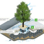 A Model For Future Planning Innovative Stormwater Management At The