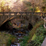 Alum Rock Park Alum Rock Park San Jose CA Dawn Ellner Flickr