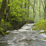 Appalachian Stream Classification