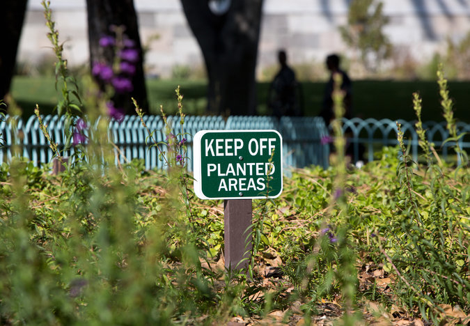 Arid Southwest Cities Plea Lose The Lawn The New York Times