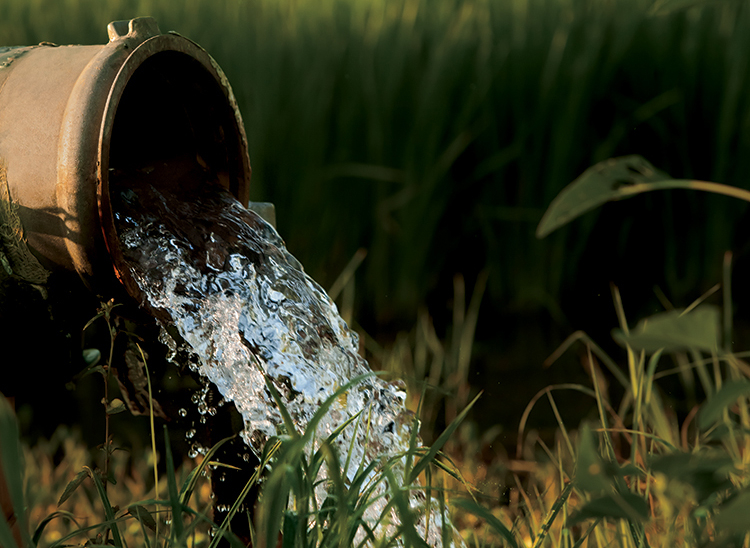 Arkansas Farmers Implement Water Conservation Efforts Farm Flavor