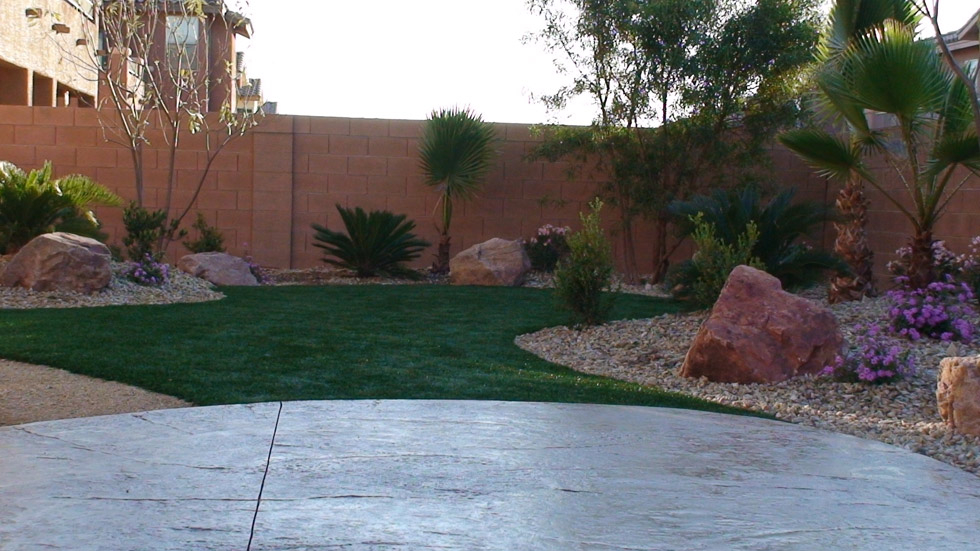 Artifical Turf Walkway Stamped Concrete Cacti Landscapes