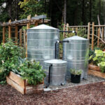 Capture Rainwater For Garden Fasci Garden