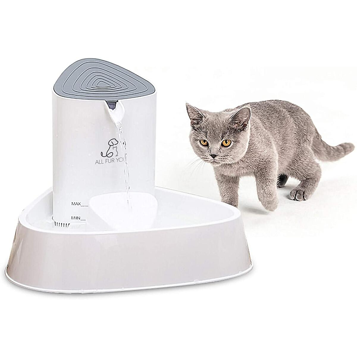 Cat Fountain Cashback Rebate RebateKey