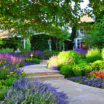 Denver Garden Landscape Design Designscapes Colorado