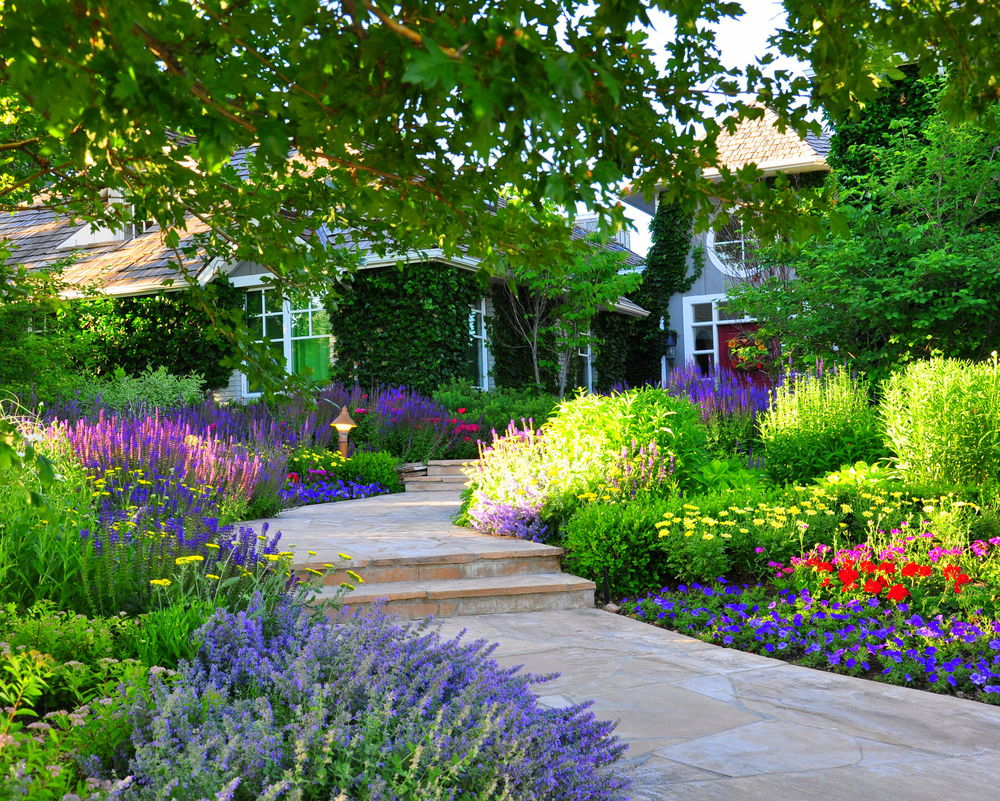 Denver Garden Landscape Design Designscapes Colorado