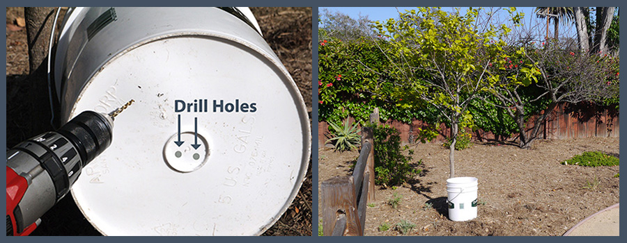 Drip Irrigation Bucket Goleta Water District