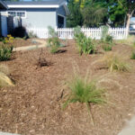 Drought Tolerant Landscape Rebate Program For The OC