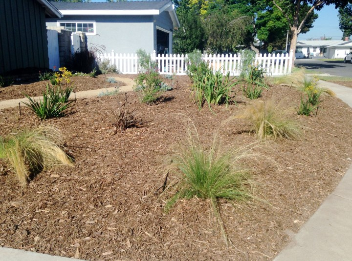 Drought Tolerant Landscape Rebate Program For The OC