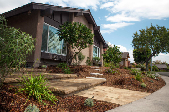 Drought Tolerant Orange County Landscapes Installation