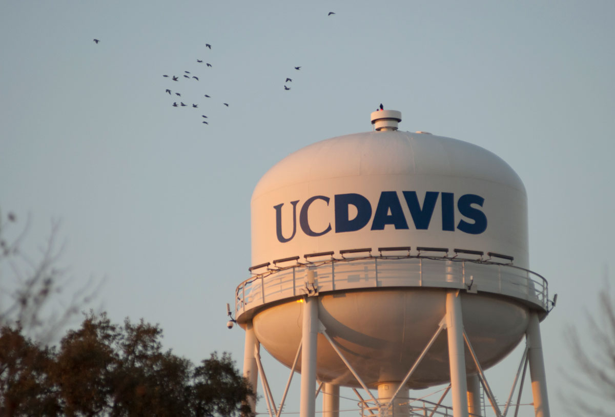 Explaining UC Davis UCOP Curtailment Plans UC Davis