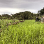 Farming On The Prairie Orange City