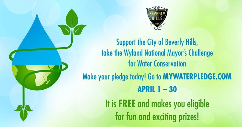 Mayor Gold Joins Water Conservation Challenge Canyon News