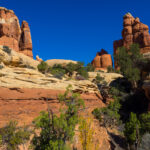 Meanderthals Elephant Canyon Needles District Canyonlands National Park