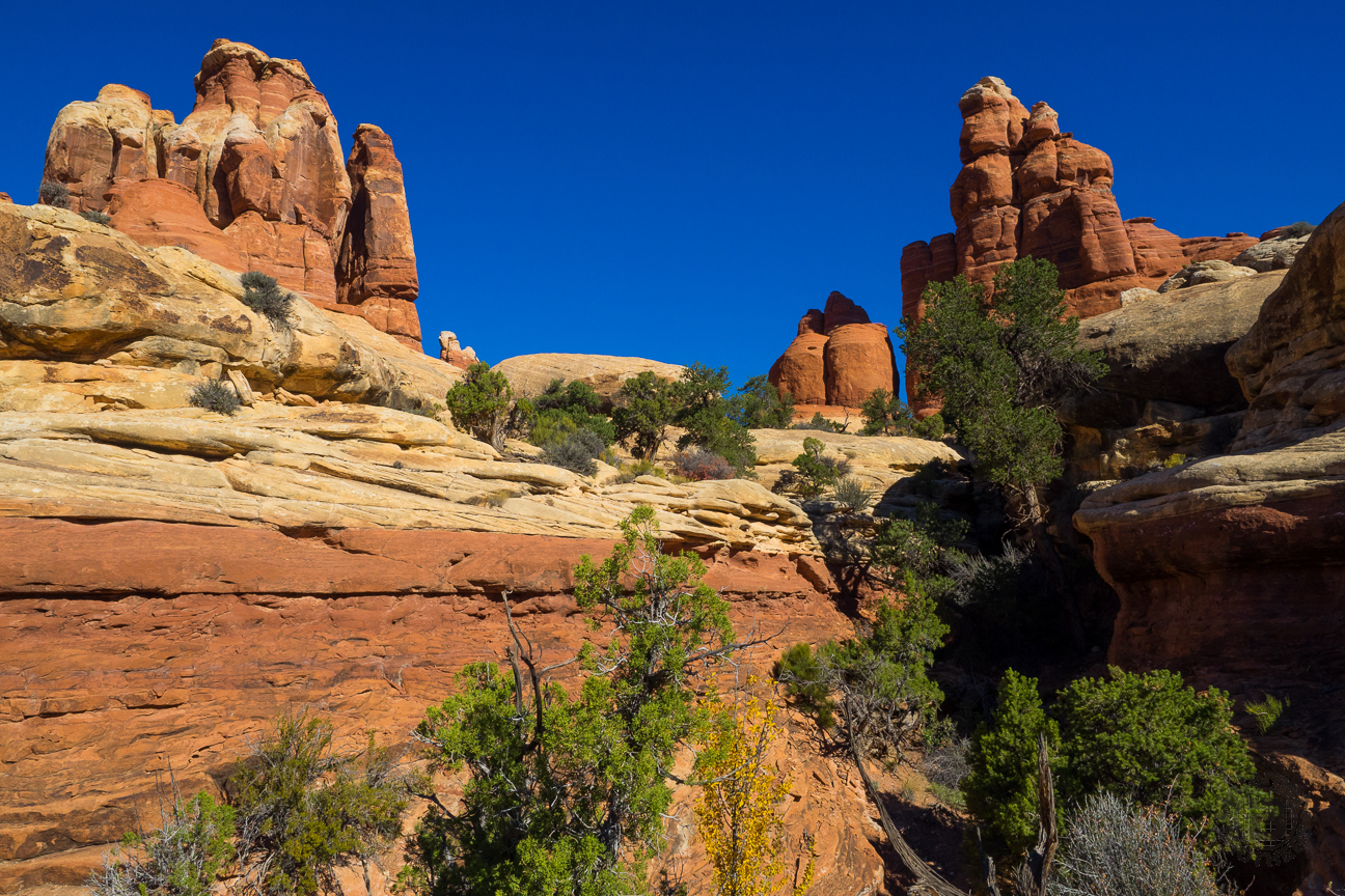 Meanderthals Elephant Canyon Needles District Canyonlands National Park