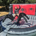 Mechanical Black Widow Spider Ride Bay Area