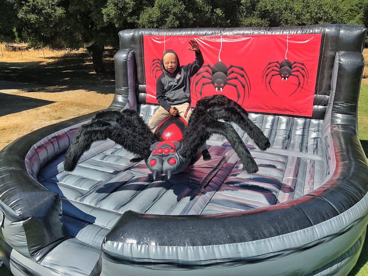 Mechanical Black Widow Spider Ride Bay Area