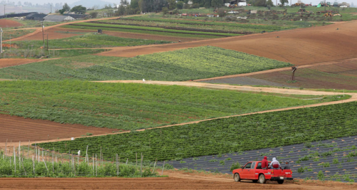 New Rebates For WaterSmart Irrigation Devices In San Diego County