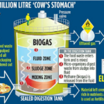 New Utah Facility Will Turn Food Waste Into Renewable Energy