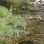 Oklahoma Farm Report Conservation Group Wants EPA To Ditch Dirty Water