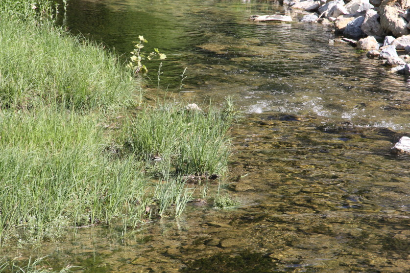 Oklahoma Farm Report Conservation Group Wants EPA To Ditch Dirty Water