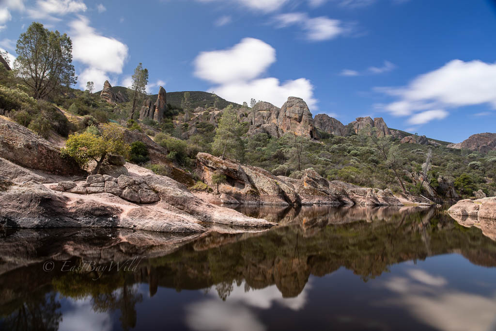 Pinnacles National Park Loop Starting At Bear Gulch East Bay Wild 