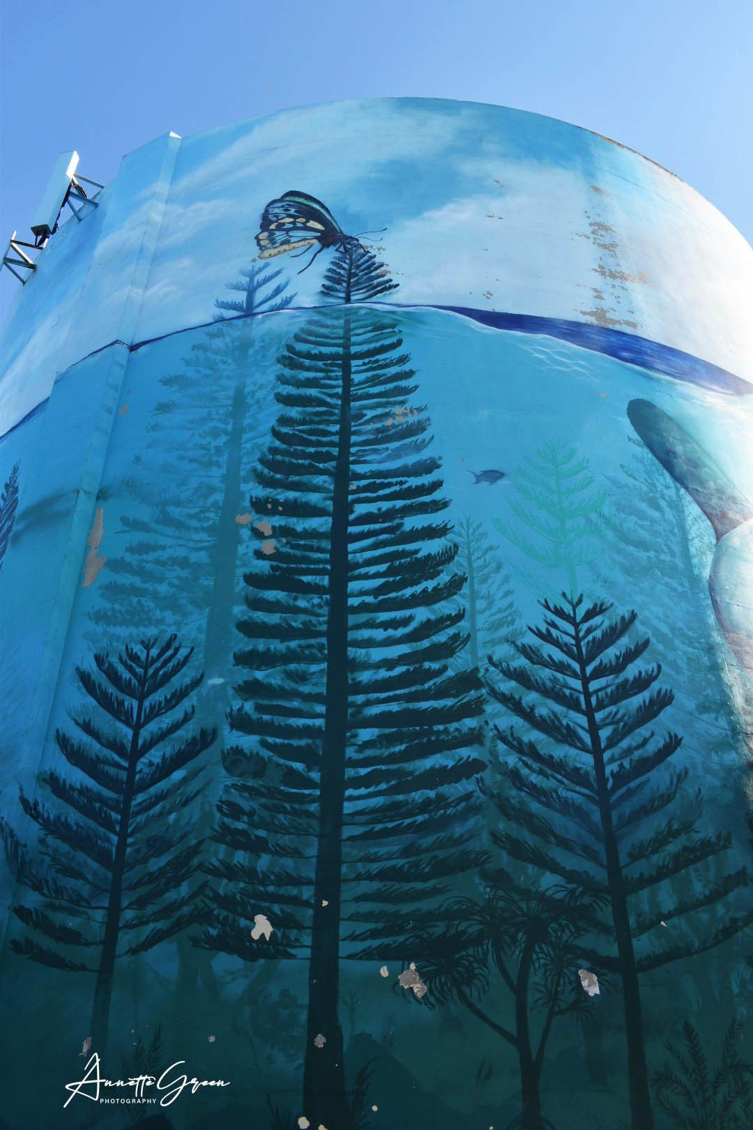 Point Cartwright Water Tank Art