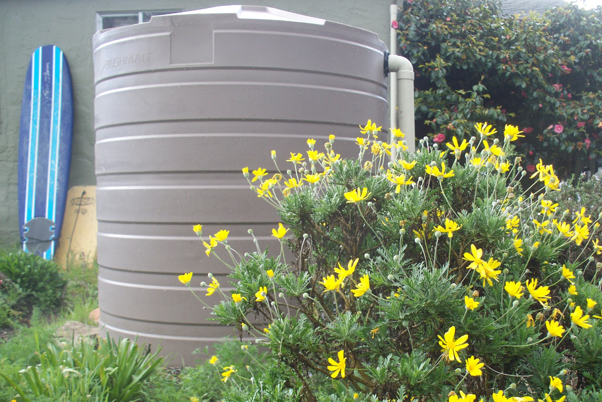 Rainwater Harvesting Monterey Bay Friendly Landscaping