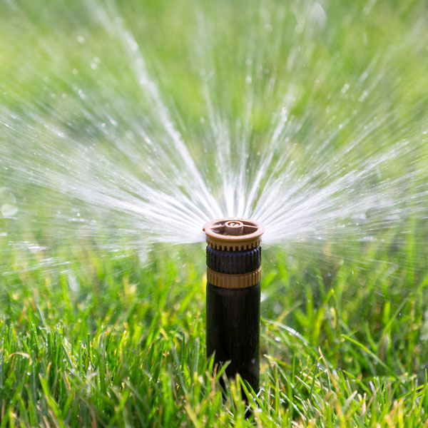 Sacramento Bests LA In Water Conservation Low Flow Sprinkler Pros