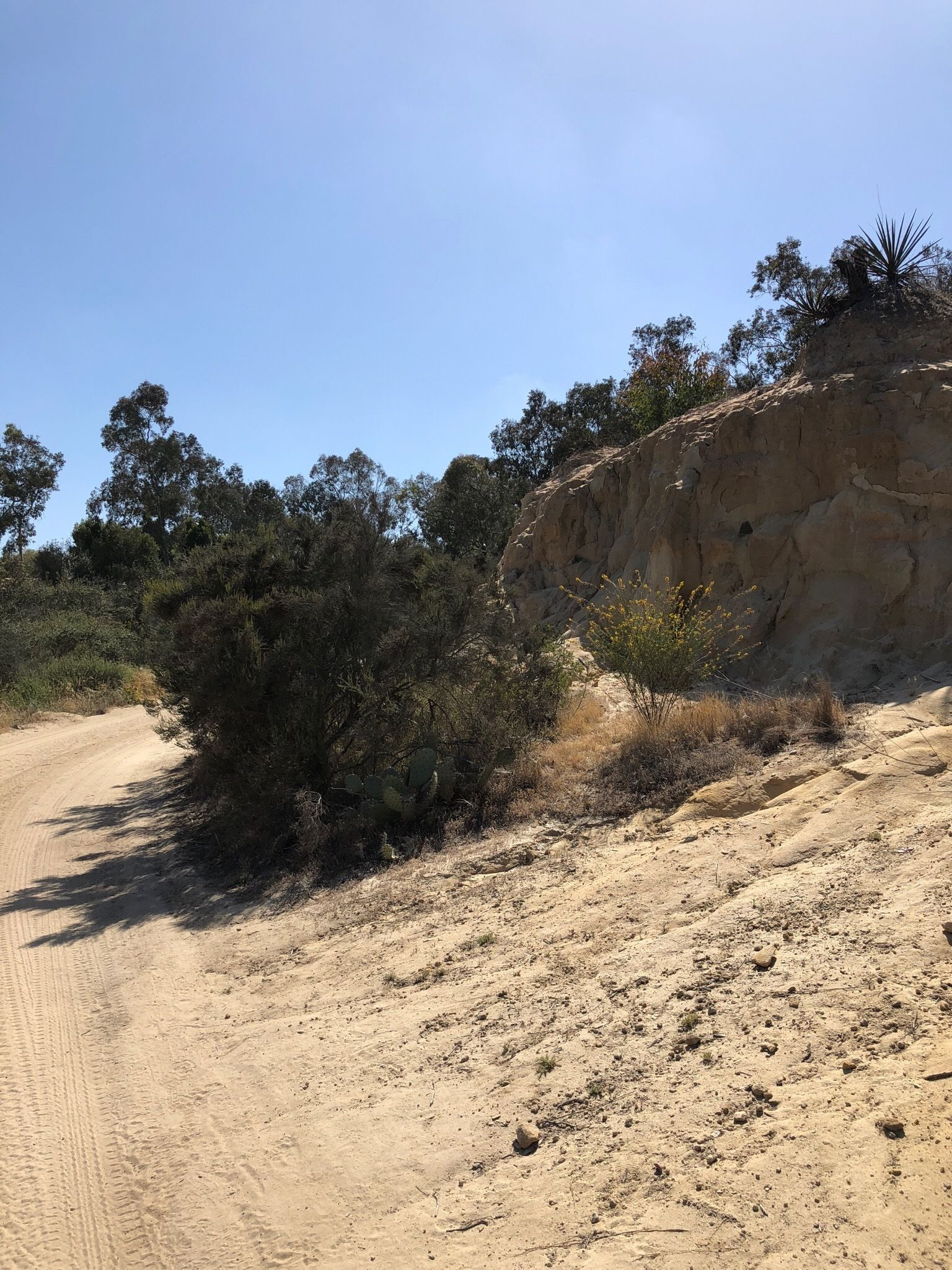 San Dieguito Park Trail California AllTrails