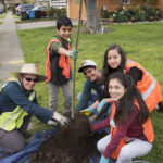 Save Our Water And Our Trees Canopy Canopy