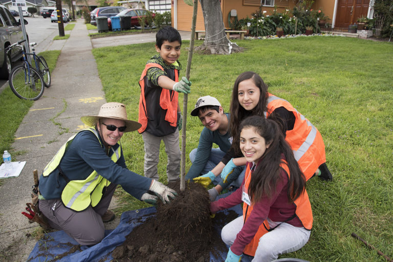 Save Our Water And Our Trees Canopy Canopy