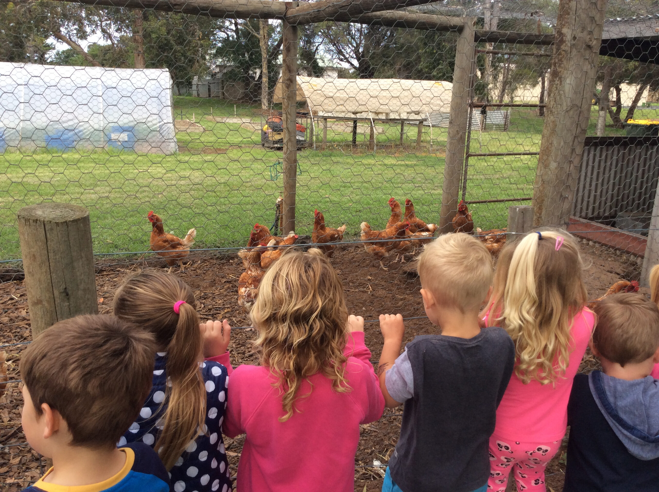 Show And Tell Kirinari Kindergarten Preschools sa gov au