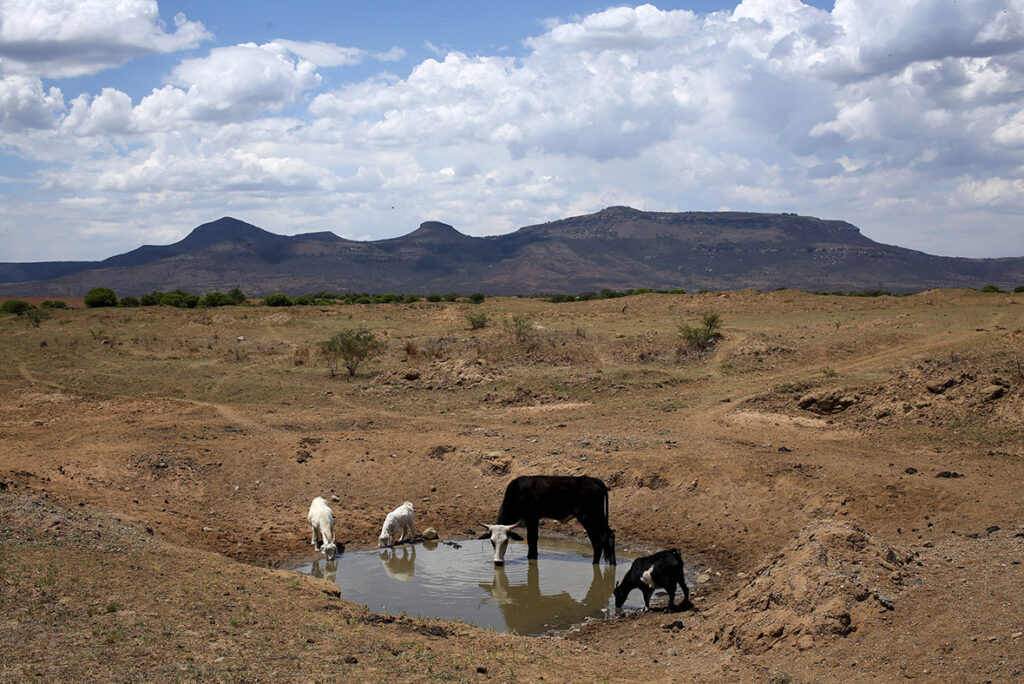 South Africa s Land Expropriation Bill Gets Green Signal From Parliament