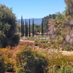 The Art Garden Conservatory Gardens At Castaic Lake