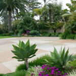 Thoughts On Water Wise Landscape Design In San Diego C H Garden s