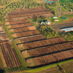 Top 25 Lotfeeders No 14 Wainui Feedlot Beef Central