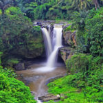 Tropical Waterfall Tegenungan Waterfall Ubud Indonesia Tropical Forest