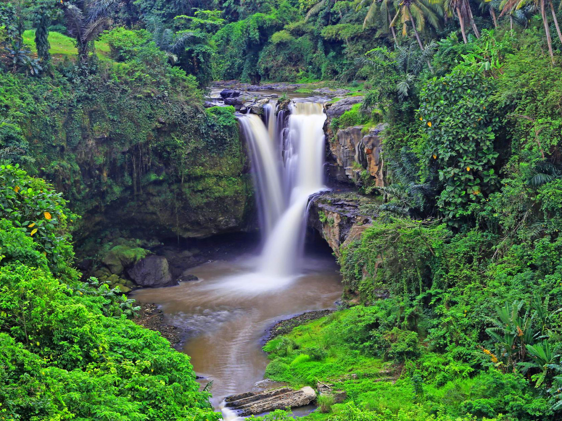 Tropical Waterfall Tegenungan Waterfall Ubud Indonesia Tropical Forest 