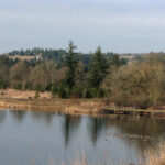 Tualatin River NWR east End The Tualatin River NWR Cove Flickr