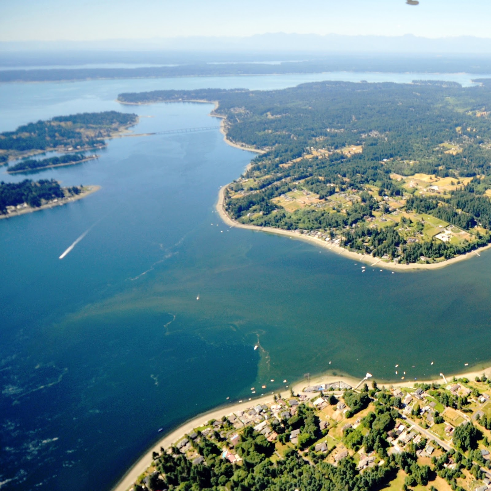 Washington Department Of Ecology Puget Sound Waters Left Sweltering 