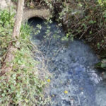 Waste Meant For Sewer Contaminates Cranleigh Waterway Residents Say Was