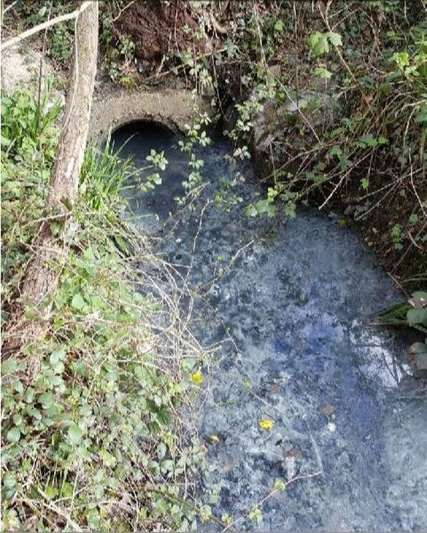 Waste Meant For Sewer Contaminates Cranleigh Waterway Residents Say Was 