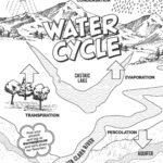 Water Cycle Coloring Page SCV Water