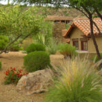 Xeriscape