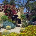 Xeriscape Plants San Diego Water Wise Landscape Gardening California