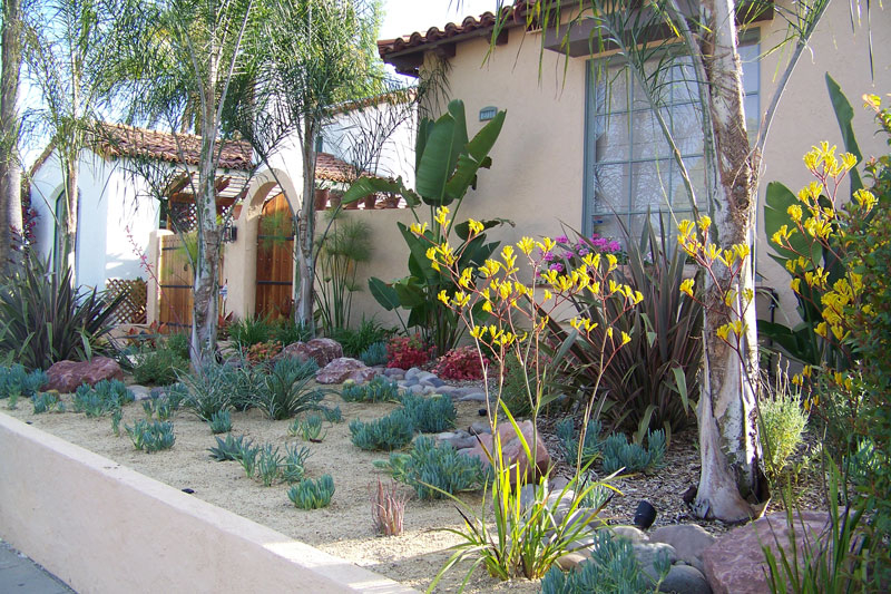 Xeriscape Plants San Diego Water Wise Landscape Gardening California