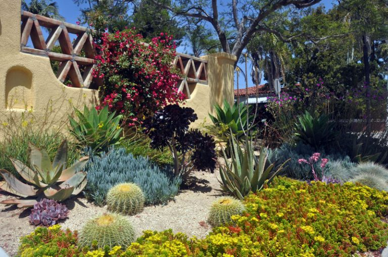 Xeriscape Plants San Diego Water Wise Landscape Gardening California