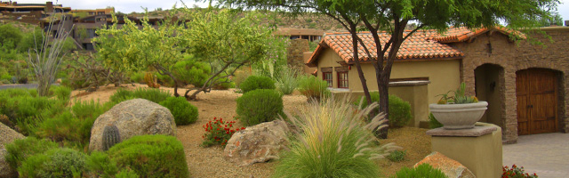 Xeriscape