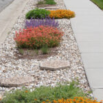 Drought Landscape Designer Long Beach Rebates Available Inner City